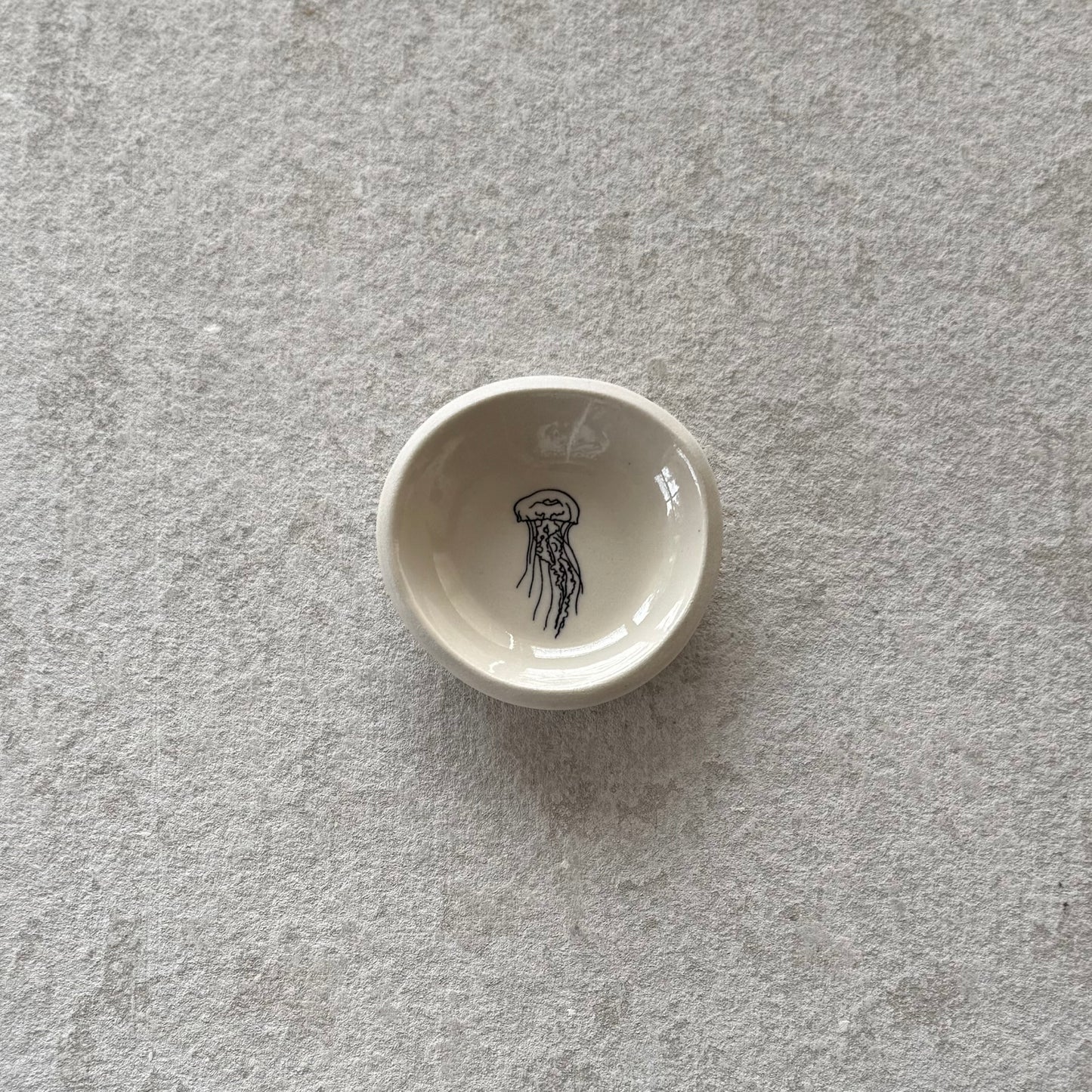 Manly Lifestyle – Dish