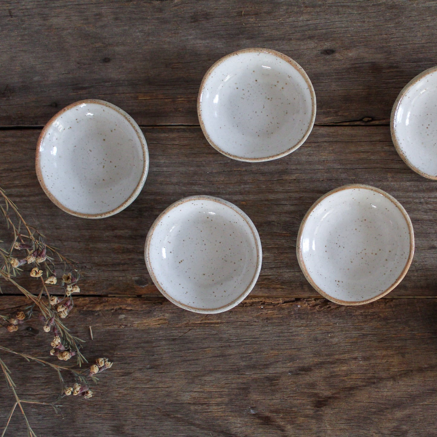 ORGANIC Spice Dish · White